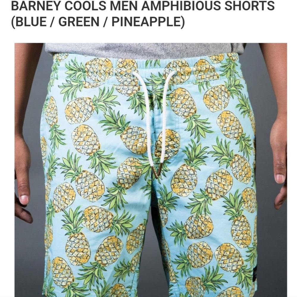BARNEY COOLS MENS PINEAPPLE PRINT SWIM TRUNKS